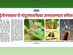 Press Releases